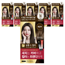엘라스틴 살롱 드 컬러 앤 새치 염색 크림, 흑갈색, 6개