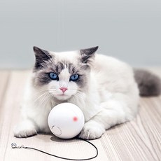 Pet-care 聰明的貓球, 1個, 混色