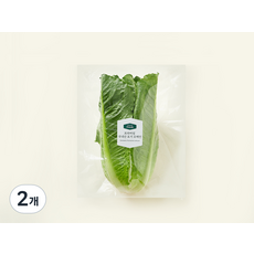 프리미엄 국내산 포기 로메인, 200g, 2개