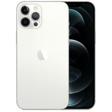 Apple 아이폰 12 Pro Max 자급제, 실버, 256GB