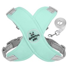 Monopoly 狗狗皮革拼布交叉馬卡龍胸背帶 + 牽繩組, 薄荷綠