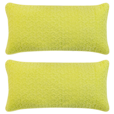 쉬즈홈 힐링 피그먼트 베개커버 + 속통 세트, 애플그린, 2개