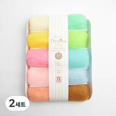 하마나카 브랜드얀 아클렌 펠트 10종 세트 H441-142, 혼합색상(H441-142-5), 2세트