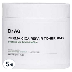 닥터에이지 더마 시카 리페어 토너패드, 60개입, 120ml, 5개