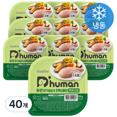 듀먼 전연령용 강아지 튼튼관절 화식사료, 닭+초록잎홍합, 50g, 40개
