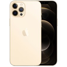 Apple 아이폰 12 Pro Max 자급제, 골드, 256GB