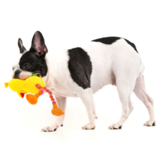 大鳥拉扯狗狗玩具 16*27cm, 混色, 1個