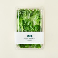 프리미엄 바질 가든 믹스, 100g, 1개입, 1개