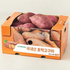 국내산 호박고구마, 3kg, 1개