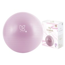아리프 안티버스트 짐볼 + 에어펌프 + 공기마개, 라벤더