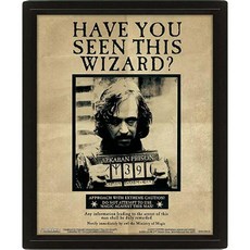 PYRAMID INTERNATIONAL 哈利波特/天狼星通緝令 3D海報含框, 黑色, 1個