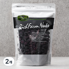 리치팜너트 점보건포도, 700g, 2개