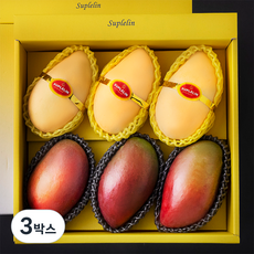 수플린 애플망고 3입 + 태국 골드망고 3입 선물세트 2.8kg, 3박스