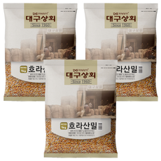 대구상회 호라산밀, 1kg, 3개