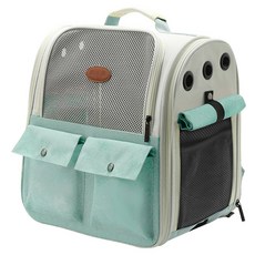 DING DONG PET 寵物Kitsch網眼外出後背包, 薄荷綠