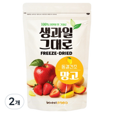 해야미 생과일 그대로 동결건조 망고, 2개, 100g