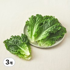 유기농 로메인 상추, 3개, 100g