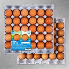 곰곰 무항생제 신선한 특란