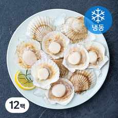 씨픽 손질 반가리비 (냉동), 180g(7~8마리), 12팩