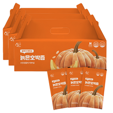 황금이네 국내산 늙은 호박즙, 100ml, 90개