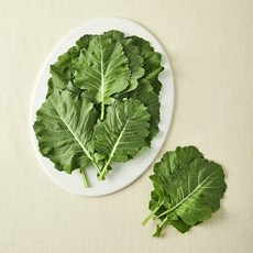 친환경 쌈케일, 100g, 1개