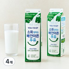 남양유업 맛있는우유GT 소화가 잘되는 고소한 락토프리, 900ml, 4개