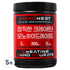 뉴프라이스 정직한 크레아틴 모노 하이드레이트, 300g, 5개