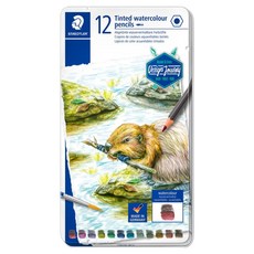 스테들러 틴트 수채 색연필, 1개, 12색