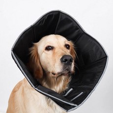 DING DONG PET 大型史迪奇頸圈, 黑色, 1個