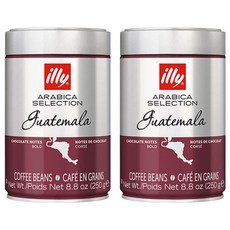 일리 아라비카 셀렉션 과테말라 원두, 홀빈(분쇄안함), 250g, 2개