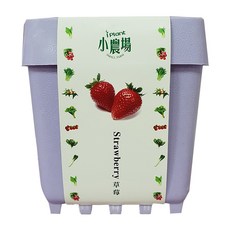台灣 iPlant 積木農場盆栽, 草莓