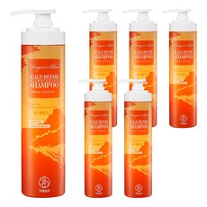 Jenduoste 珍朵絲特 龍血求麗 頭皮修護洗髮精, 500ml, 6瓶