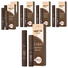 에뛰드 청순 거짓 브라우 카라 4.5g + 9g 대용량 세트, 01 리치 브라운, 6개