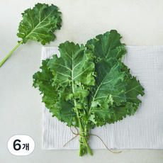 국내산 곱슬케일(컬리케일), 6개, 150g