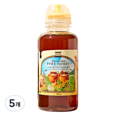 정원담 프리미엄 자연 야생화 순수 벌꿀, 5개, 500g