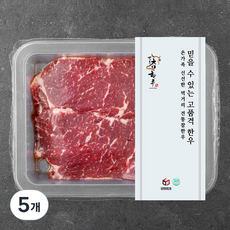 전통참한우 채끝 2등급 구이용 (냉장), 200g, 5개