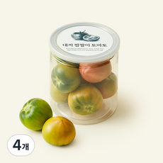 온브릭스 주식회사 농업회사법인 바로먹는 대저 짭짤이 토마토, 4개, 400g