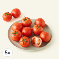 완숙토마토 4번과, 5개, 5kg(35~50개입)