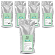 바스참 사해소금 포레스트 리필용, 1kg, 5개