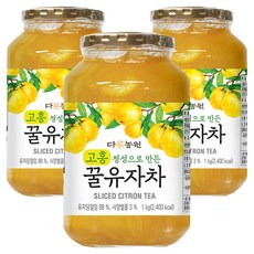 다농원 고흥 정성으로 만든 꿀유자차, 1kg, 3개, 1개입