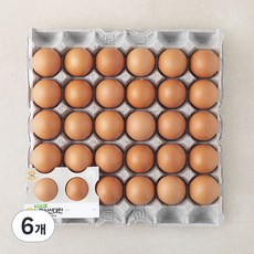 농협 신선 대란 1560g, 30구, 6개