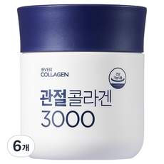 에버콜라겐 관절콜라겐 3000 75.6g, 6개, 84정