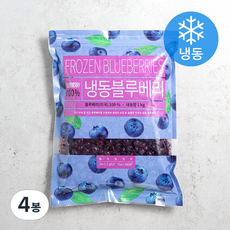 딜라잇가든 냉동 블루베리 (냉동), 1kg, 4개