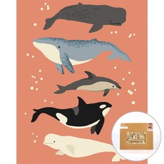 ARTJOY DIY 傑作繪畫 Dancing Whales 40 x 50 cm, 蜜桃色