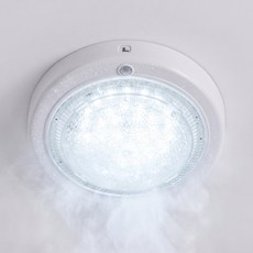 EL照明 LED 玄關感應燈 20W, 晝光色, 1個