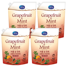 키친솝 자몽 앤 민트 친환경 주방세제, 1.2L, 4개