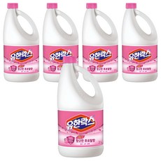 유한락스 후로랄, 2L, 5개