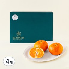 고당도 레드향 대과, 2kg, 4개