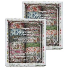 데일리네스트 컬러 마스킹테이프, 타입 25, 2세트