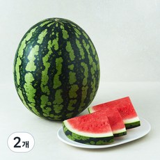 당도선별 산 수박, 8kg, 2개